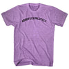 Absofuckinlutely Adult Tri-Blend T-shirt by Tribe Lacrosse
