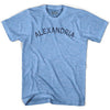 Alexandria Vintage City Adult Tri-Blend T-shirt by Ultras