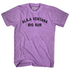 Alila Ventana Big Sur Adult Tri-Blend T-shirt by Tribe Lacrosse