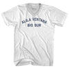 Alila Ventana Big Sur Adult Tri-Blend V-neck T-shirt by Tribe Lacrosse