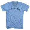 Altrincham Adult Tri-Blend V-neck T-shirt by Tribe Lacrosse