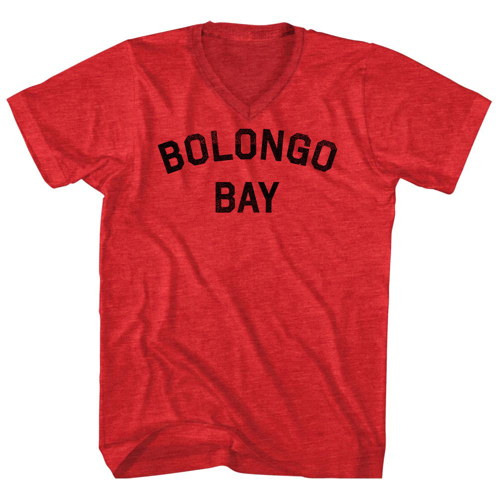 Bolongo Bay Adult Tri-Blend V-neck T-shirt for Sale | Tribe