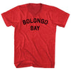 Bolongo Bay Adult Tri-Blend V-neck T-shirt by Tribe Lacrosse