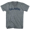 Caladesi Tri-Blend V-neck Womens Junior Cut T-shirt by Tribe Lacrosse