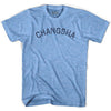 Changsha Vintage City Adult Tri-Blend T-shirt by Ultras
