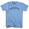 Damascus Vintage City Adult Tri-Blend T-shirt by Ultras