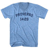 Proverbs 14 23 Adult Tri-Blend V-Neck T-Shirt by Tribe Lacrosse