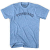 Pyongyang Vintage City Adult Tri-Blend T-shirt by Ultras