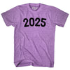 2025 Year Celebration Adult Tri-Blend T-shirt by Tribe Lacrosse