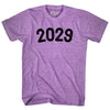 2029 Year Celebration Adult Tri-Blend T-shirt by Tribe Lacrosse