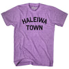 Haleiwa Town Adult Tri-Blend T-shirt by Ultras