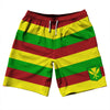 Hawaii Kanaka Maoli Flag 10" Swim Shorts Made in USA by Tribe Lacrosse