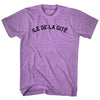 Ile De La Cite Adult Tri-Blend T-shirt by Ultras