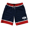 Wyoming US State Flag 10" Swim Shorts Made in USA by Tribe Lacrosse